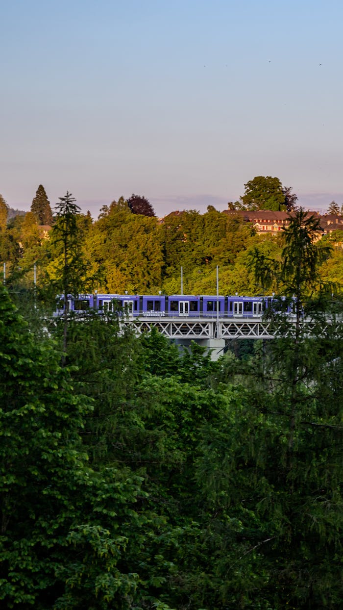 A train travels through vibrant greenery with Bern's landscape in the background.